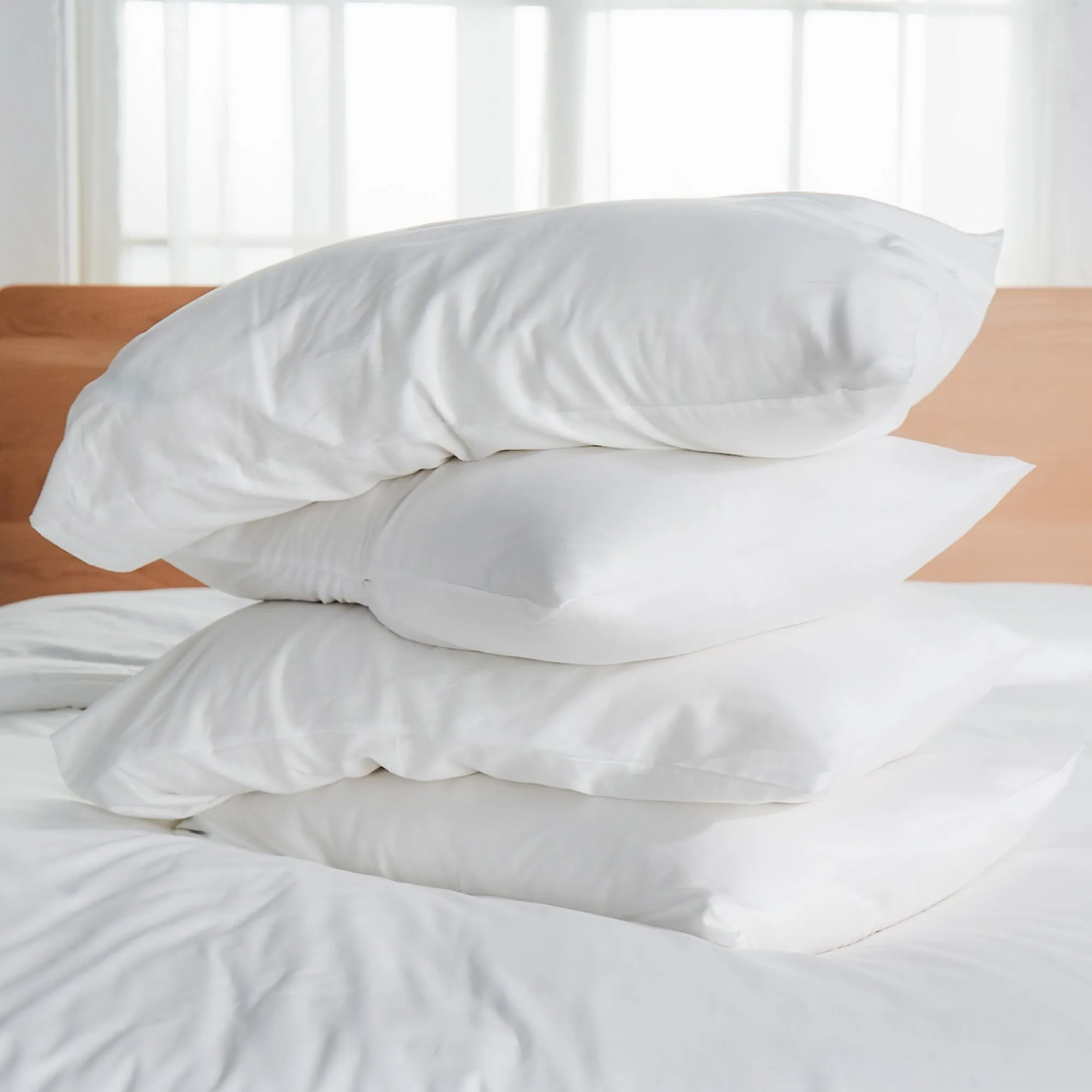 Percale Organic Cotton Shams 270TC