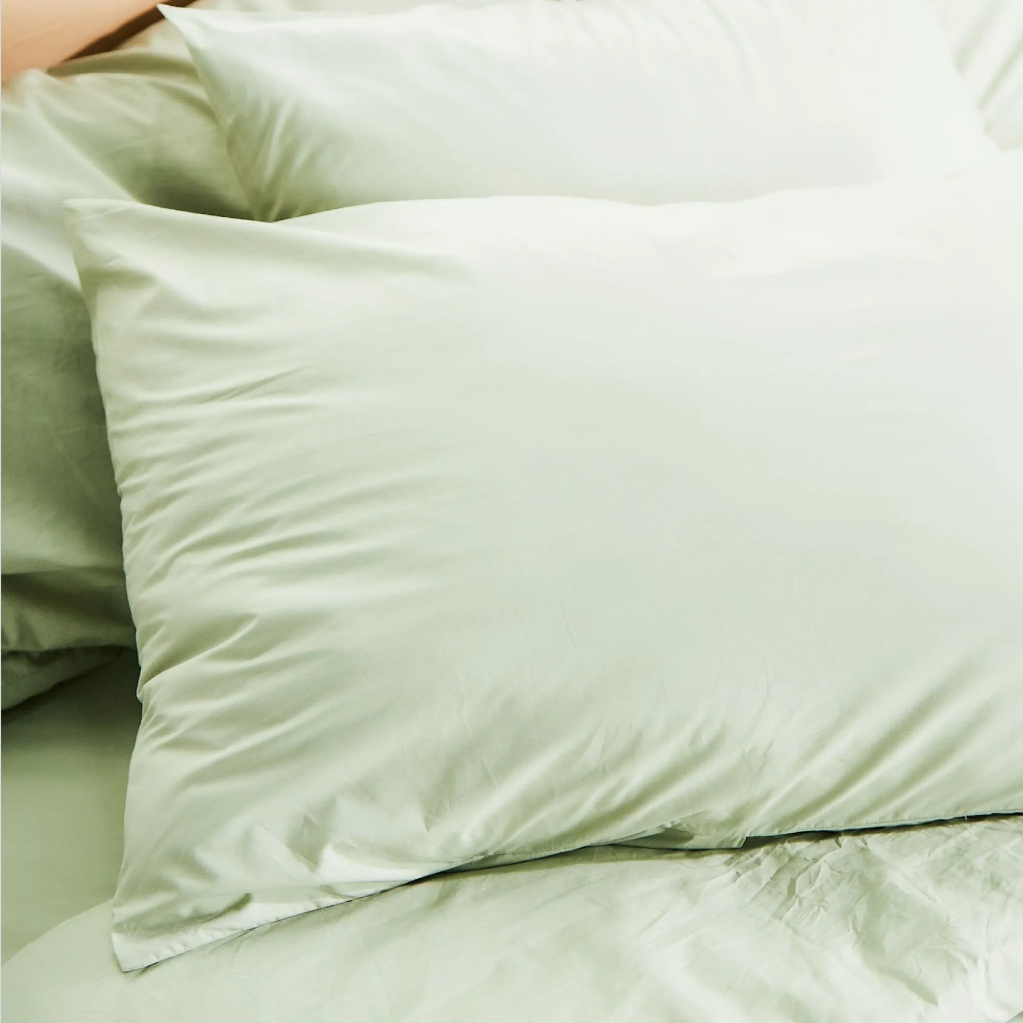 Percale Organic Cotton Shams 270TC